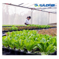 Agriculture dwc vertical PVC hydroponic growing systems